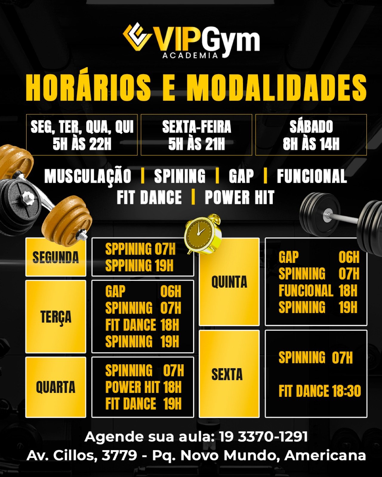 Arte informativa da VIPGym com horários e modalidades